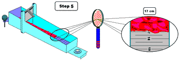 bostwick consistometer 